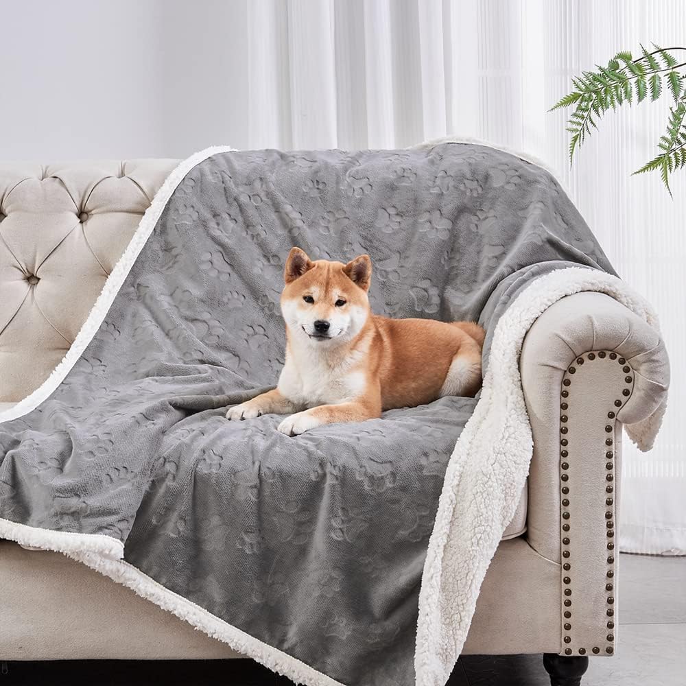 Personalized Dog Blankets for Pet Lovers 71c jqtbz4l. ac sl1000