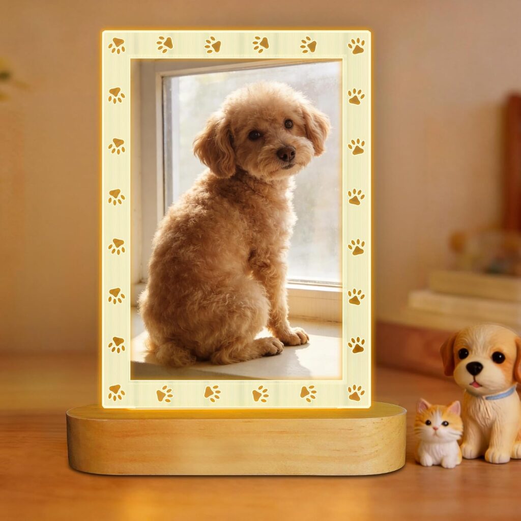 Personalized pet home decor with custom dog photo light frame
