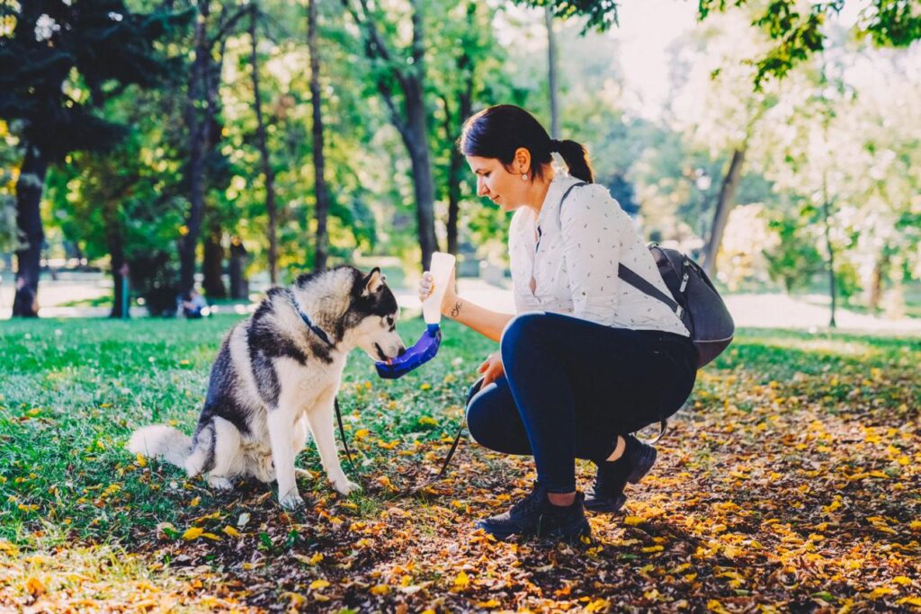 Best Dog Water Bottles for Walks and Travel in 2026 1ij5stewrel7f2sxlxnkvzlrzcoeicnpdf7tyzfyagbu7ceiqss9jlg4tradnwvze9xz11emuj4uu tflgyp uxulq u0 6w4fitbg2hc1xr6rs1segzlav obafyki54ikopusfbenaprd9pezt0drghydlfz h7sj8 kjcrqawc3xco8r0opic1s4ljbvh