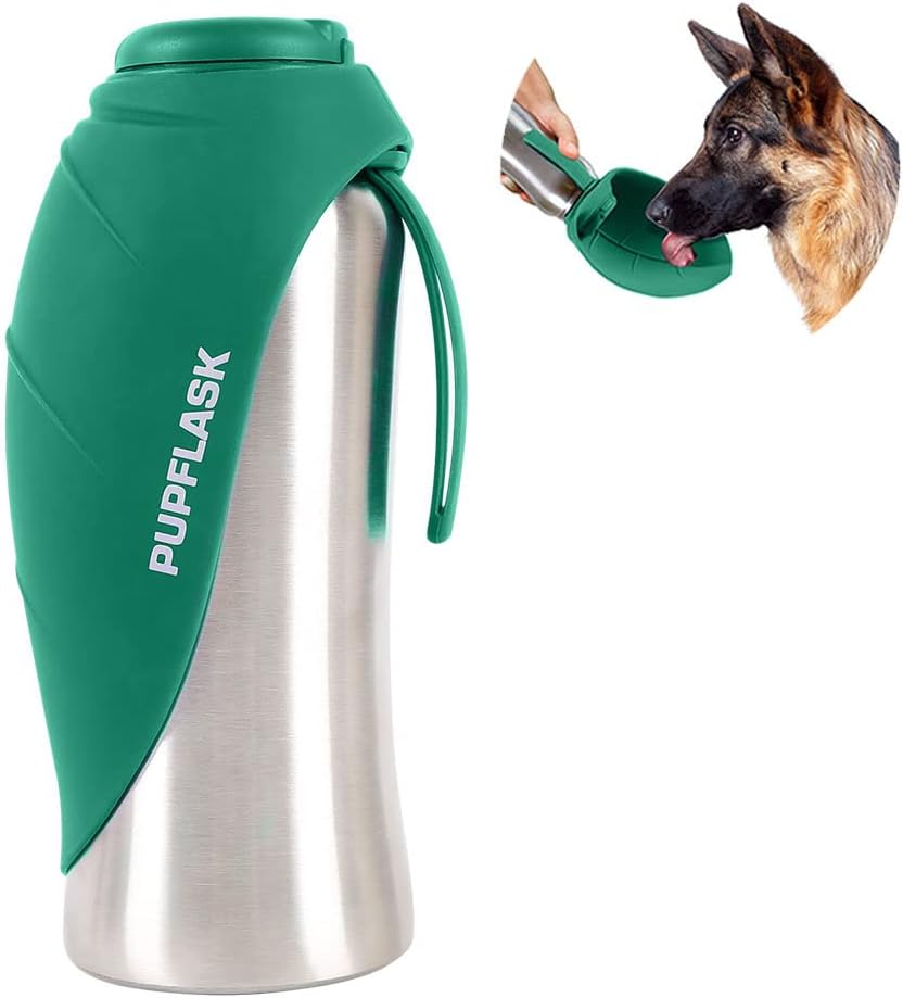 Best Dog Water Bottles for Walks and Travel in 2026 51sct3unb+l. ac sl1000