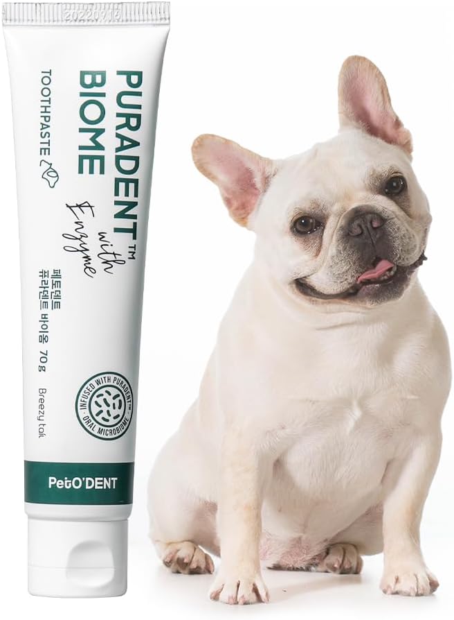 Best Dog Toothbrushes and Dental Chews in 2026 51xpkkeoctl. ac sl1000