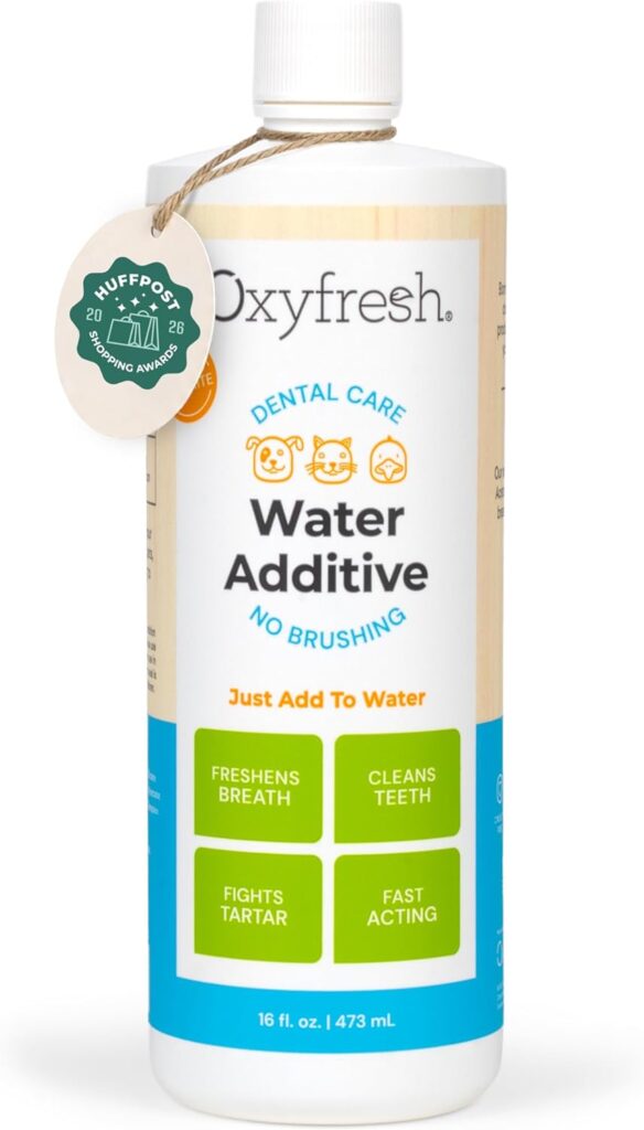 Best Dog Toothbrushes and Dental Chews in 2026 61ugh5bsnsl. ac sl1500