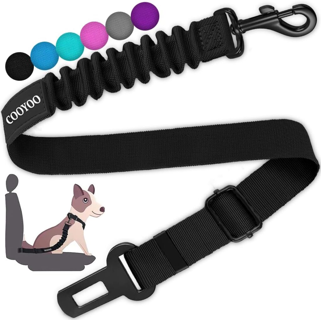 Best Dog Travel Accessories in 2026 61zrm3jdinl. ac sl1100