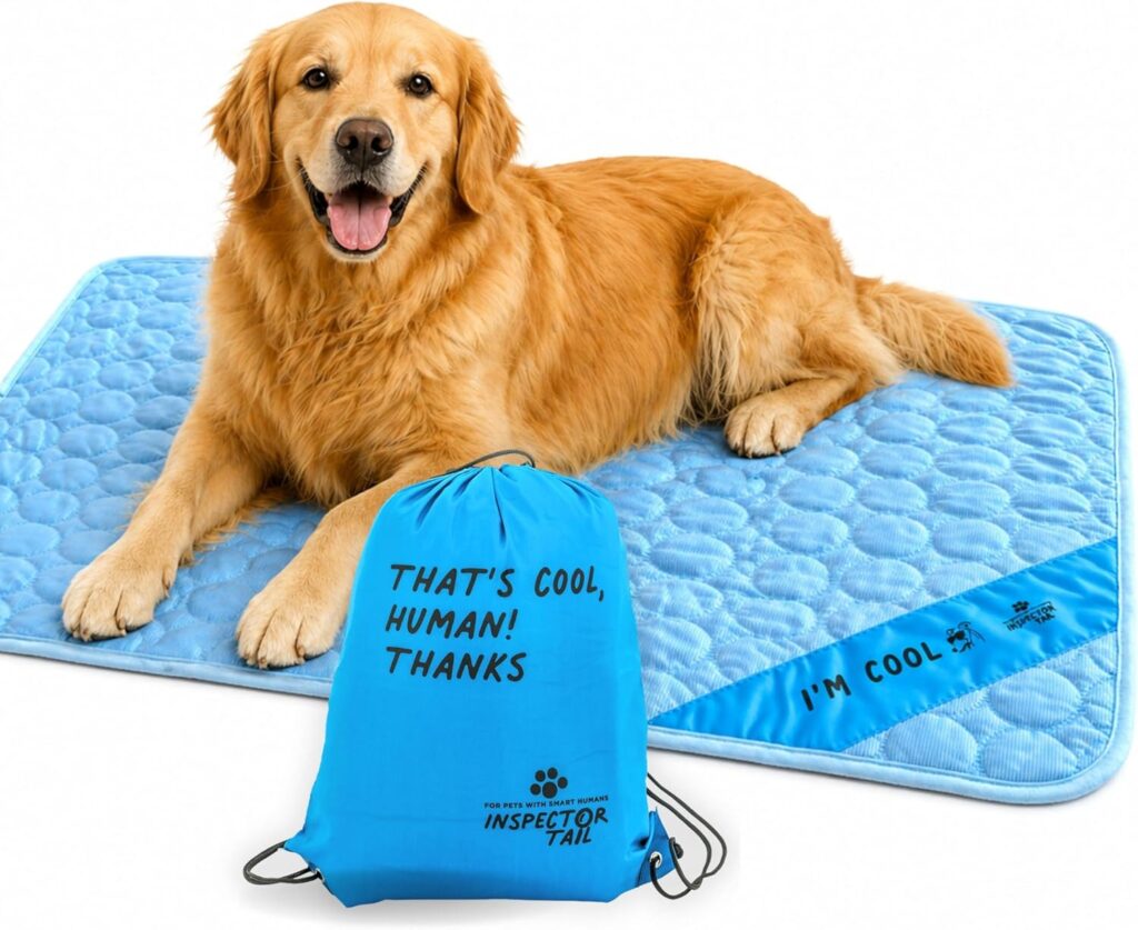 Best Dog Travel Accessories in 2026 81x2r8xlsal. ac sl1500