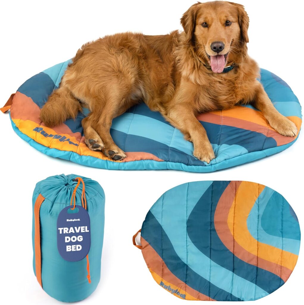 Best Dog Travel Accessories in 2026 81g 1cij57l. ac sl1500