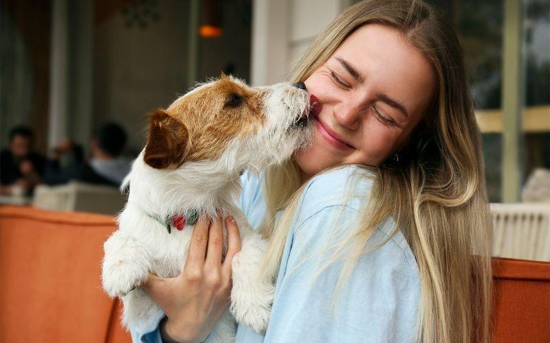 Why Do Dogs Lick Your Face? What Your Dog Is Really Trying to Tell You cdniac4zcnbtlzzbn8debpea rje3nyokohwopjktnfnacwku eozyewq090yh2kzt21debpgsoijae8eyhmqwystelapyizgr3de tmf pd679etjt8vgvr3wiilo3hrzrlkonvoer8rctmqiltyrgr3fgqiyy7d8ajianqxhs