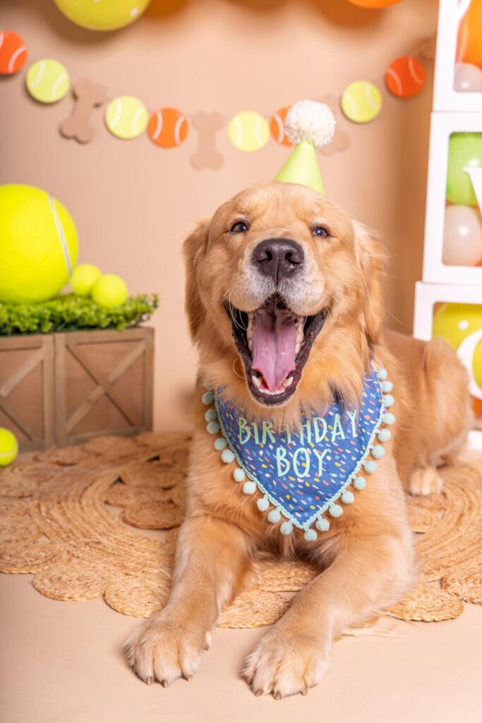 Best Birthday Gifts for Dog Lovers in 2026 ππΎ fyhehfj0yqwthm70rndshnqkzorrsj3baobgxx33f kabvi6gmrjvlj5wfr7tgf2cn kbdnudtmnosxyum21wa 8gx0r1hpkfrnimoaq1nrccnyxf0buoe4cwwr5bqwmj vwssqhel31e61ytowosf bgze5uqjkvduii m9edo2aq7a6xxfb87hmmn1 ntl