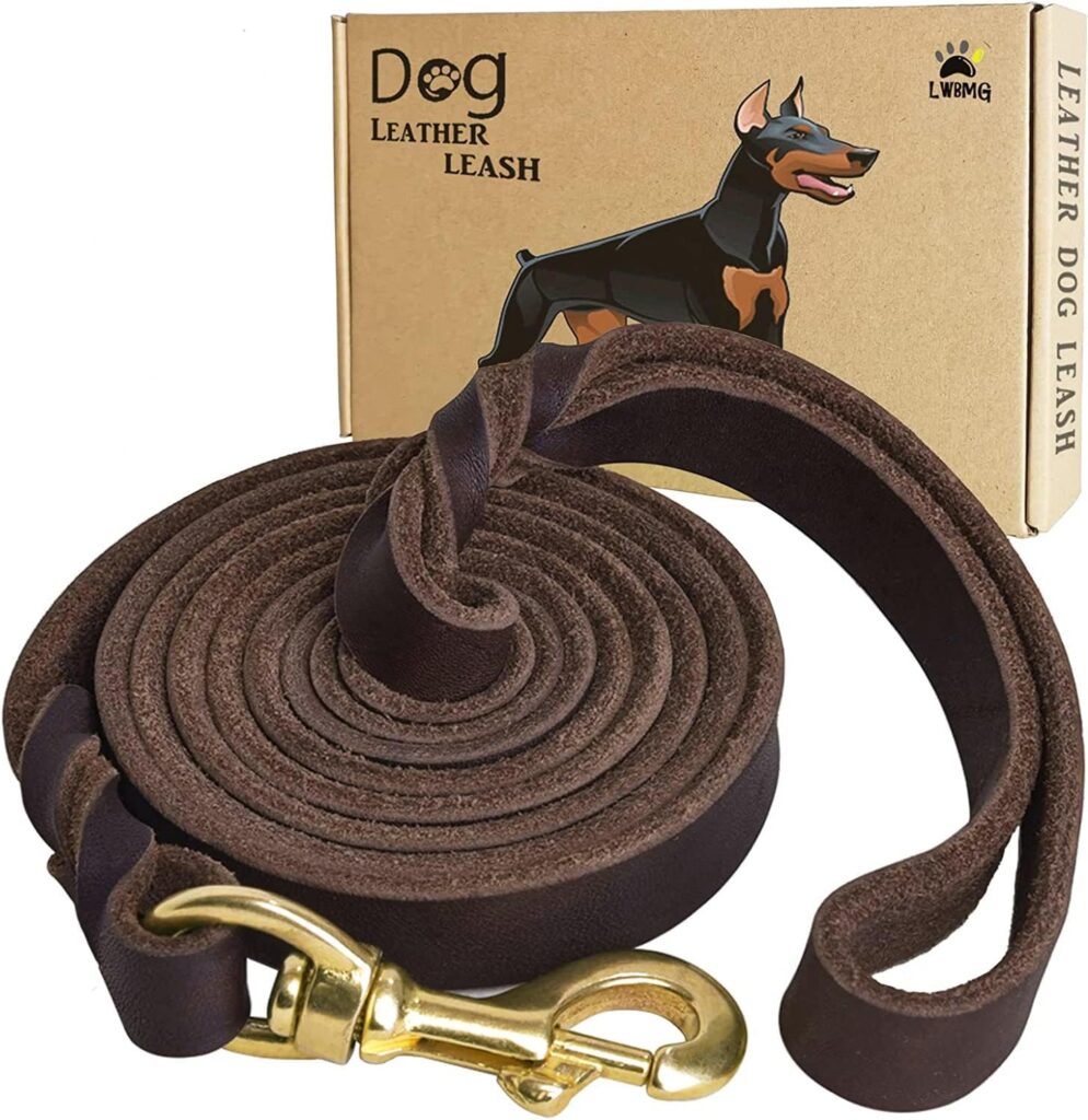 9 Best Dog Leashes in 2026: Top Picks for Every Type of Walk 71ejcx4lm4l. ac sl1500