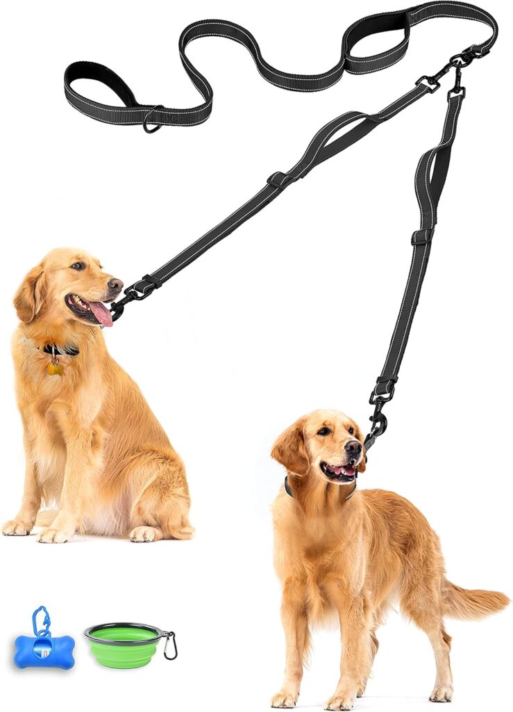9 Best Dog Leashes in 2026: Top Picks for Every Type of Walk 818e9g64uyl. ac sl1500