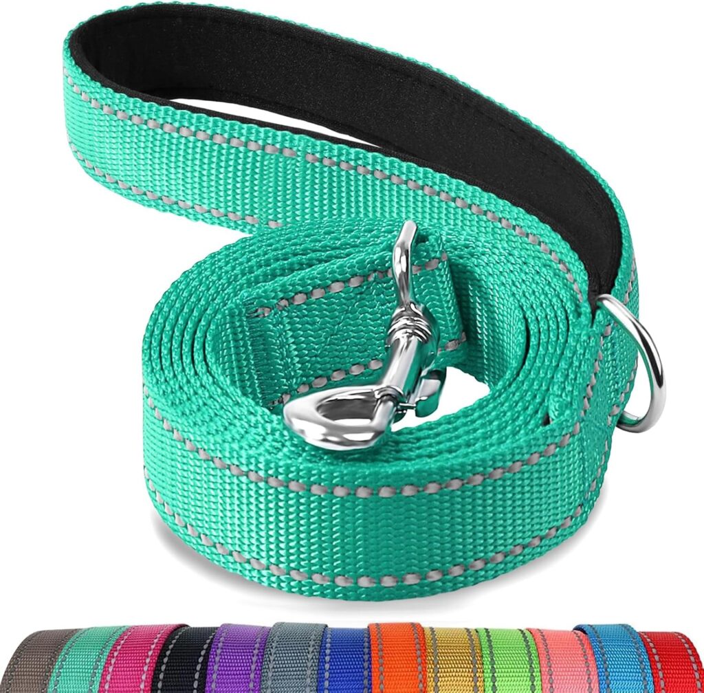 9 Best Dog Leashes in 2026: Top Picks for Every Type of Walk 81c9vqwcrll. ac sl1500