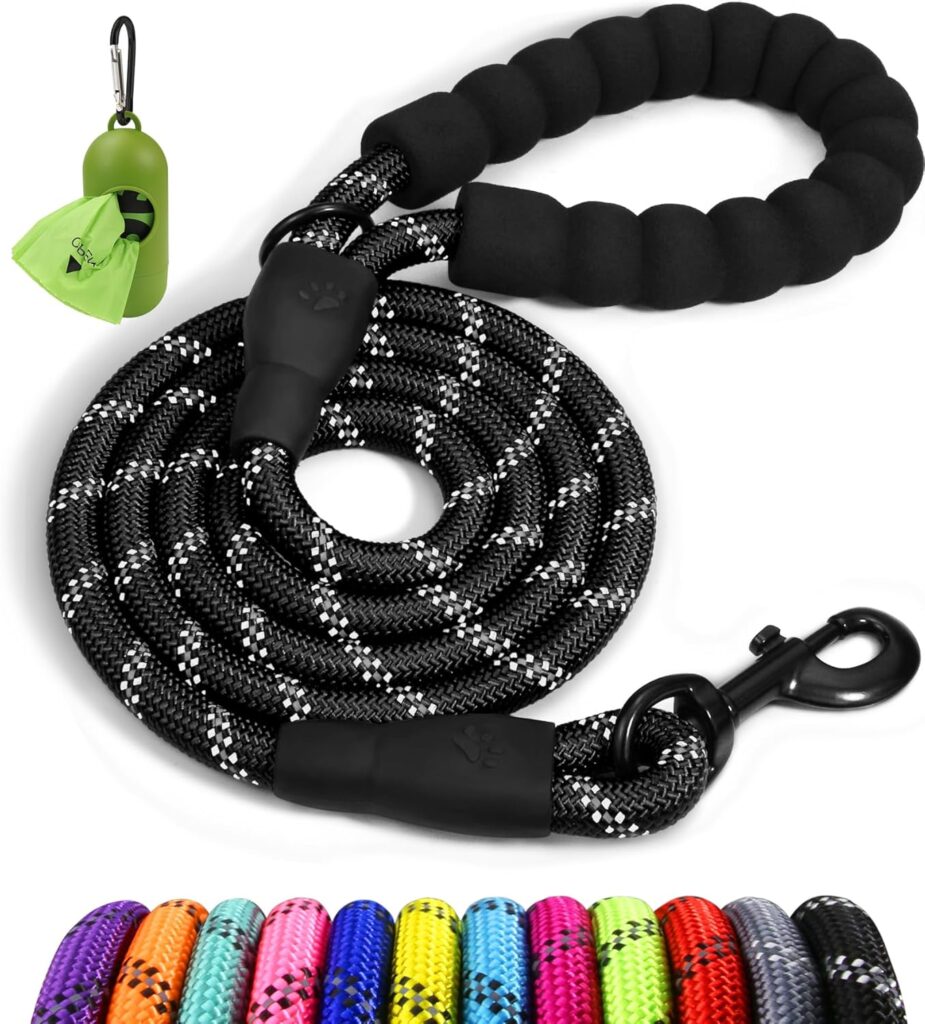 9 Best Dog Leashes in 2026: Top Picks for Every Type of Walk 81d0hkosphl. ac sl1500