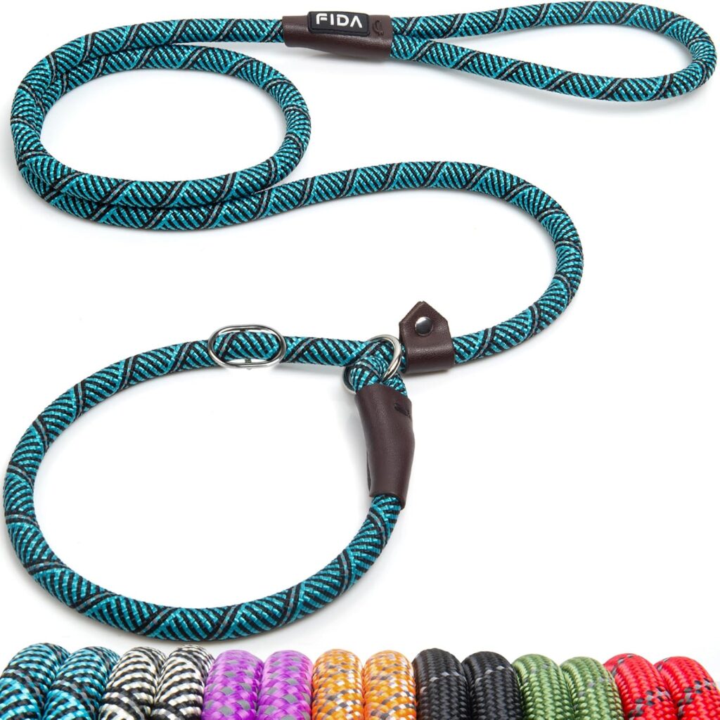 9 Best Dog Leashes in 2026: Top Picks for Every Type of Walk 81kkpwkwbyl. ac sl1500