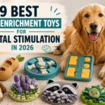 9 Best Dog Enrichment Toys for Mental Stimulation in 2026 Dog exploring interactive enrichment toys and puzzle feeders for mental stimulation