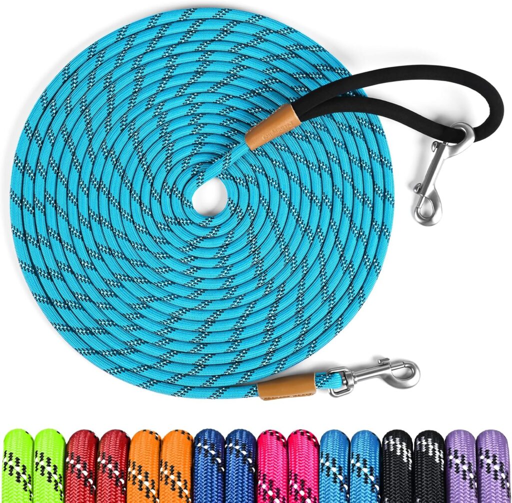 9 Best Dog Leashes in 2026: Top Picks for Every Type of Walk 91ert5hc7yl. ac sl1500
