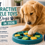 Best Interactive Puzzle Toys for Dogs in 2026 Best interactive puzzle toys for dogs in 2026