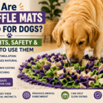 Are Snuffle Mats Good for Dogs? Benefits, Safety & How to Use Them are snuffle mats good for dogs