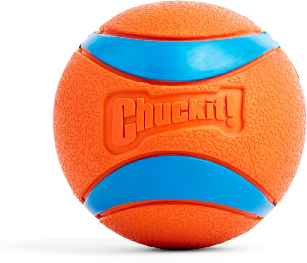 Best Indestructible Dog Toys for Aggressive Chewers in 2026 chuckit! ultra ball – best for fetch loving chewers