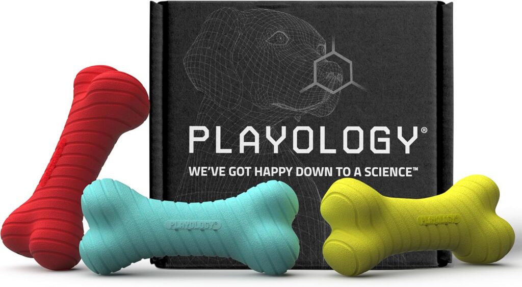 Best Indestructible Dog Toys for Aggressive Chewers in 2026 playology dual layer bone box – best scented chew toy set