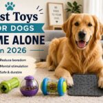 Best Toys for Dogs Home Alone in 2026 best toys dogs home alone small