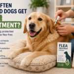 Golden retriever receiving flea treatment from its owner with flea prevention products nearby