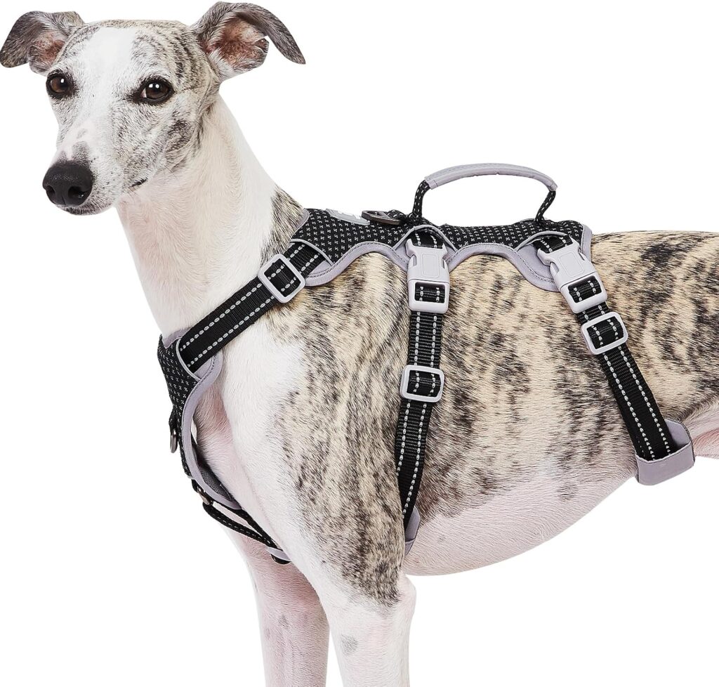 huntboo escape proof dog harness