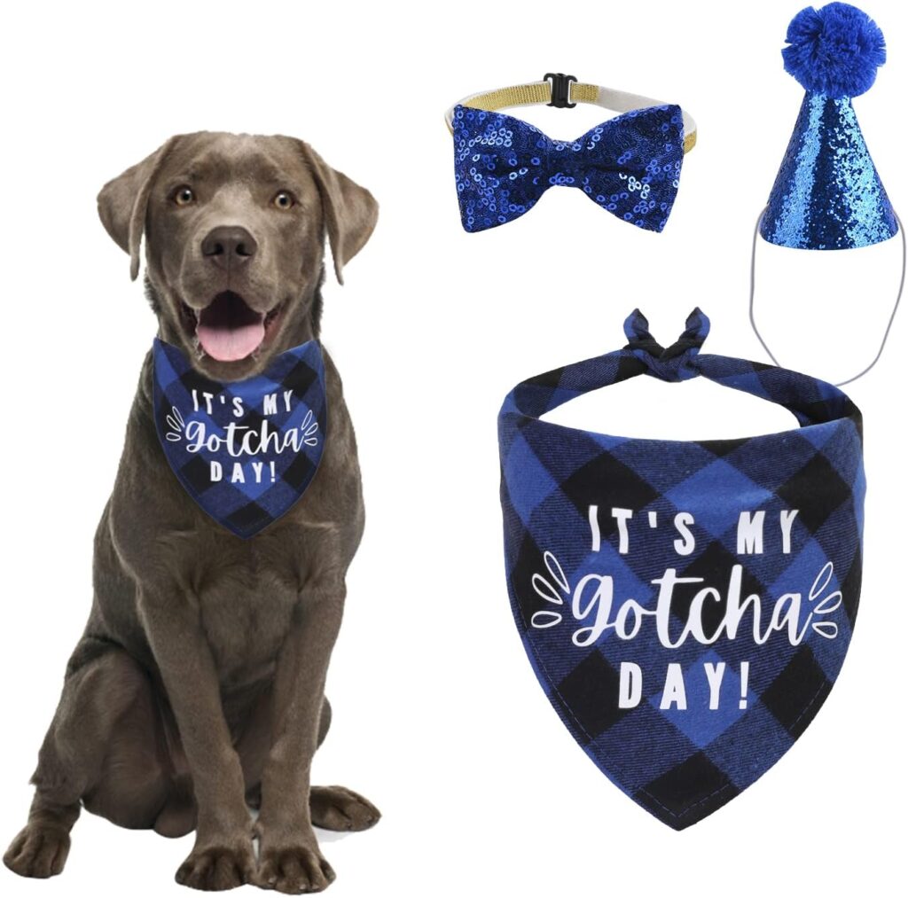 Best Gotcha Day Gifts for Dogs in 2026 Dog wearing Gotcha Day bandana with matching party hat and bow tie