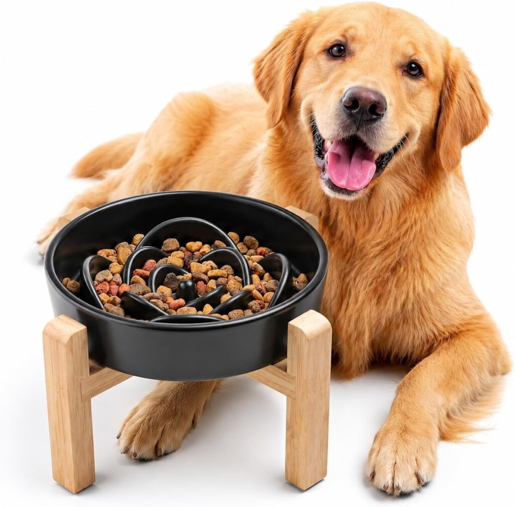 Best Elevated Slow Feeders for Large Dogs in 2026 YWYI elevated ceramic slow feeder dog bowl for medium and large dogs