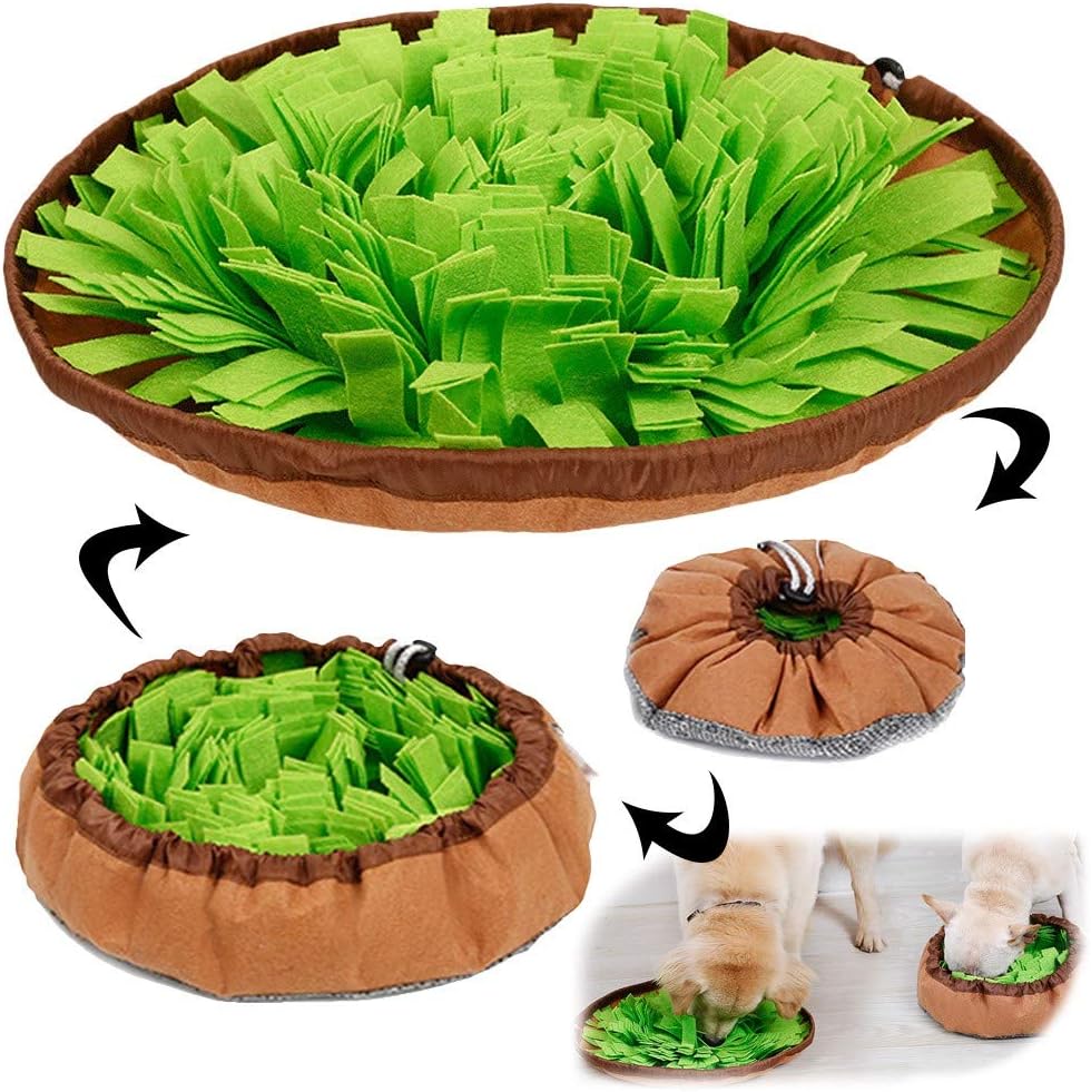 Pet Snuffle Mat