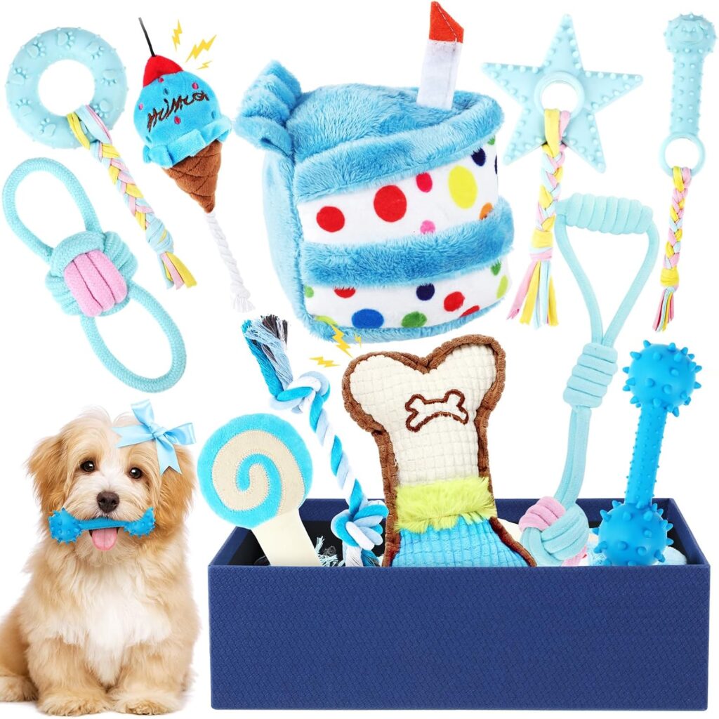 Dog birthday gift box with colorful plush, rope and squeaky toys