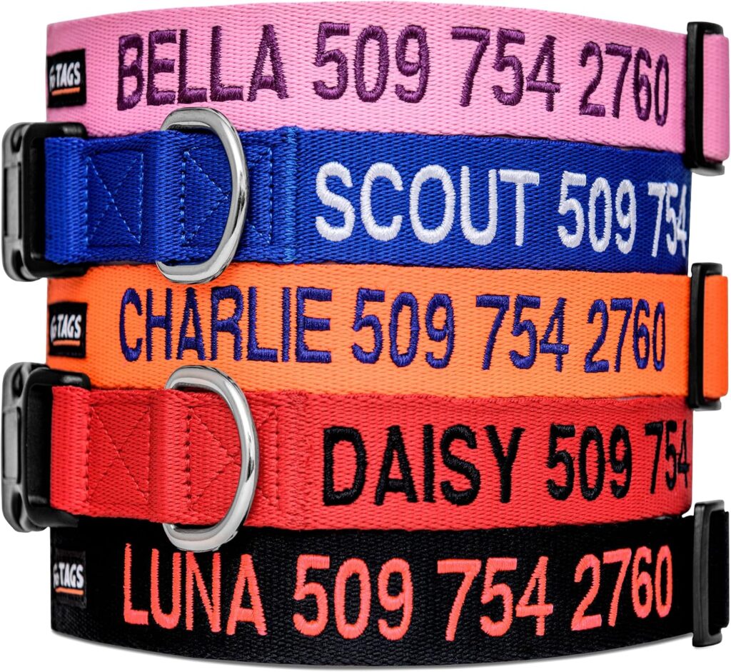 Best Gotcha Day Gifts for Dogs in 2026 GoTags personalized embroidered dog collars with name and phone number