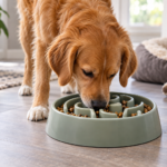 dog eating from a slow feeder bowl at home