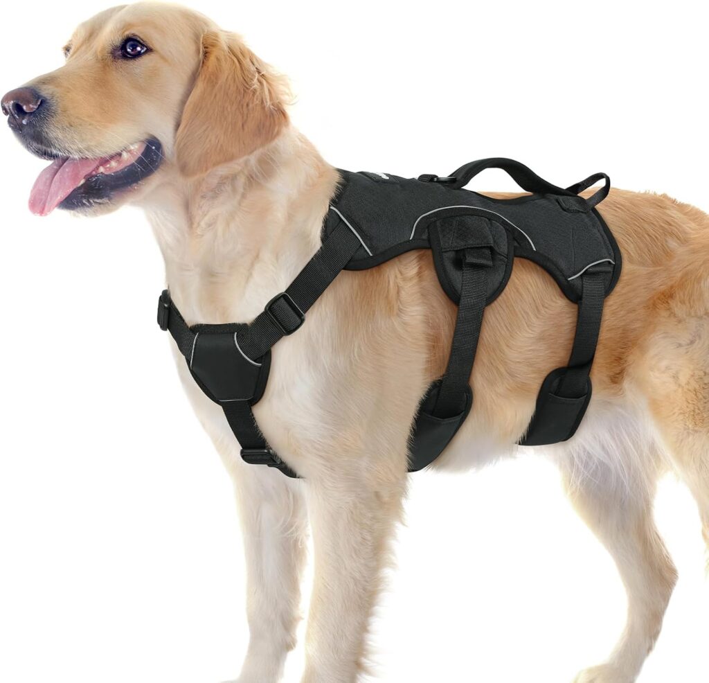 Planning a summer adventure? Read When Is It Too Hot to Walk Your Dog? before choosing your hiking route.